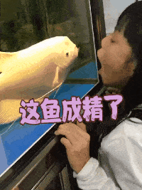 育碧|“无意间看到求职者简历上的特长，哈哈哈哈...陈独秀都没你秀！”