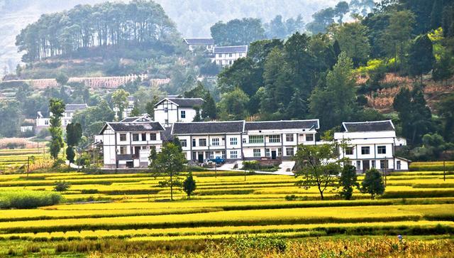 宅基地|“一户一宅”争议不断,为何专家只让在农村实行却不限制城里人?