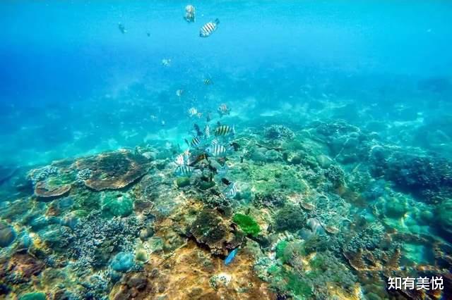 神垕古镇|暑期必备旅行攻略:国内美翻天的8个小众海岛,实在太适合度假了