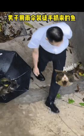 广东一男子火爆全网,西装革履冒着大雨抓鱼,网友:垃圾鱼