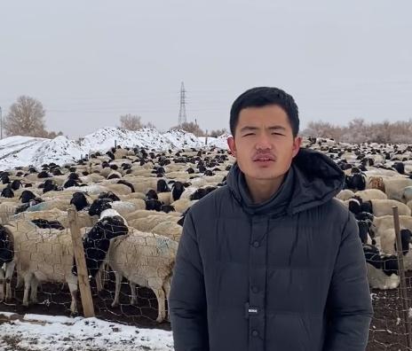 “灰太狼的羊”丈夫再次回应,报案已出结果,疑夫妻做戏最终带货