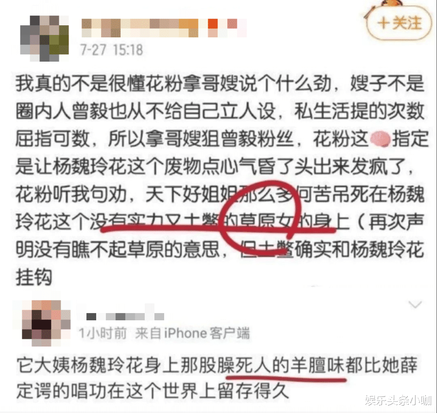 杨魏玲花|没想到他们的粉丝也能吵起来，是太闲了吗？！