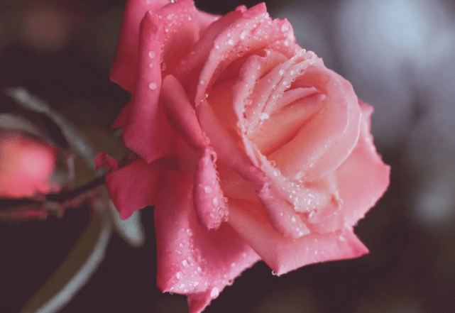 生肖|6月下旬，3大生肖贵人相伴同行，财神爷亲临照看，幸福指数不断飙升