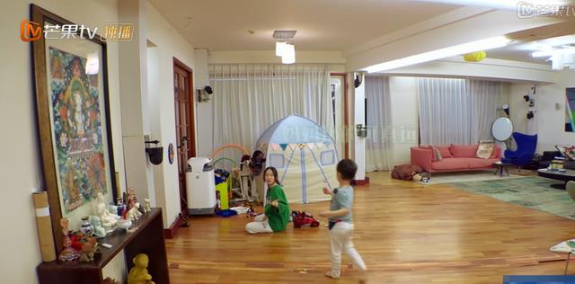 霍思燕|“京圈大小姐”霍思燕：出门乘坐私人飞机，一只宠物狗价值600万