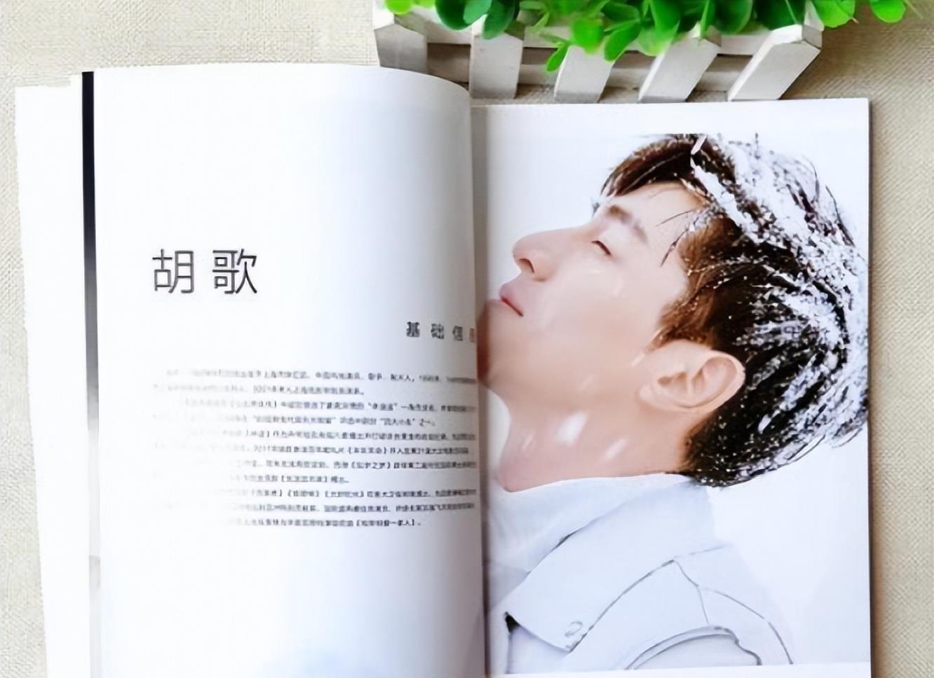 石原里美|时隔7年，胡歌又一力作，《县委大院》或成爆款