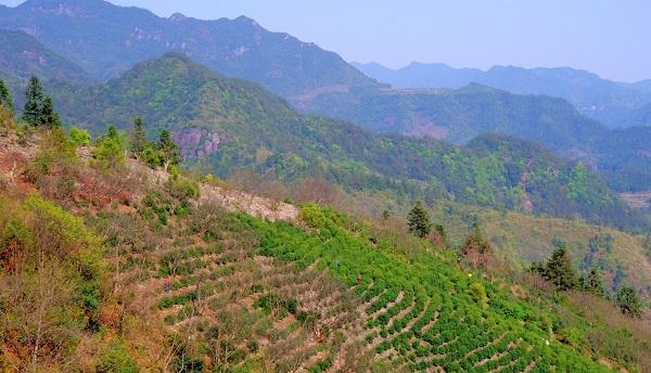 日照|浙江一个县，被誉为“温泉之都”，网友：名副其实