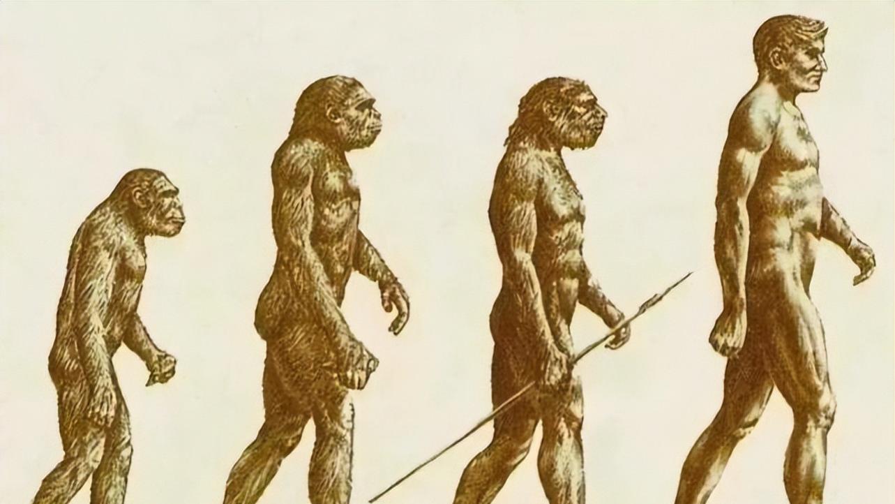 生物不断进化，会进化出人类的天敌吗？120万年前曾出现过