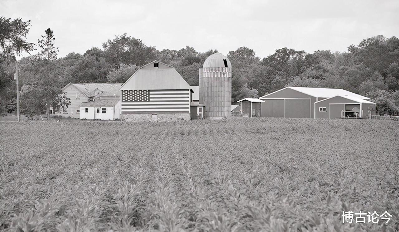 美国|1903年,美国女农场主发广告招夫婿,很多男人带钱应聘却接连失踪