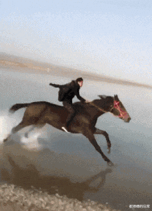 王宝强|“为什么要背叛王宝强?兄弟你睁大眼睛看看她是谁啊”