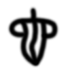 你知道为什么“虫”字和“它”字在古时都跟蛇有关吗?