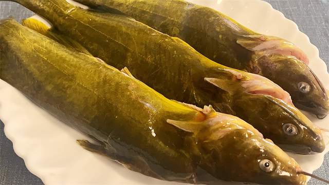 黄骨鱼|买黄骨鱼,一般人专挑颜色黄个头大的,鱼贩:自己从来不吃