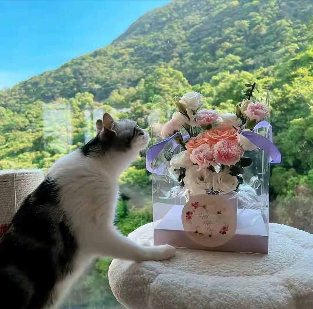 梁洛施|梁洛施素颜如少女，大儿子身高暴涨，住在李泽楷的豪宅里，日子过得很滋润。