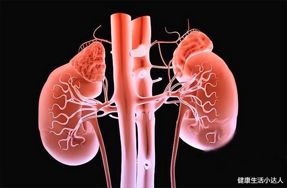 近视|肾好不好，就看这10条，占得越多，说明肾越强壮，值得骄傲