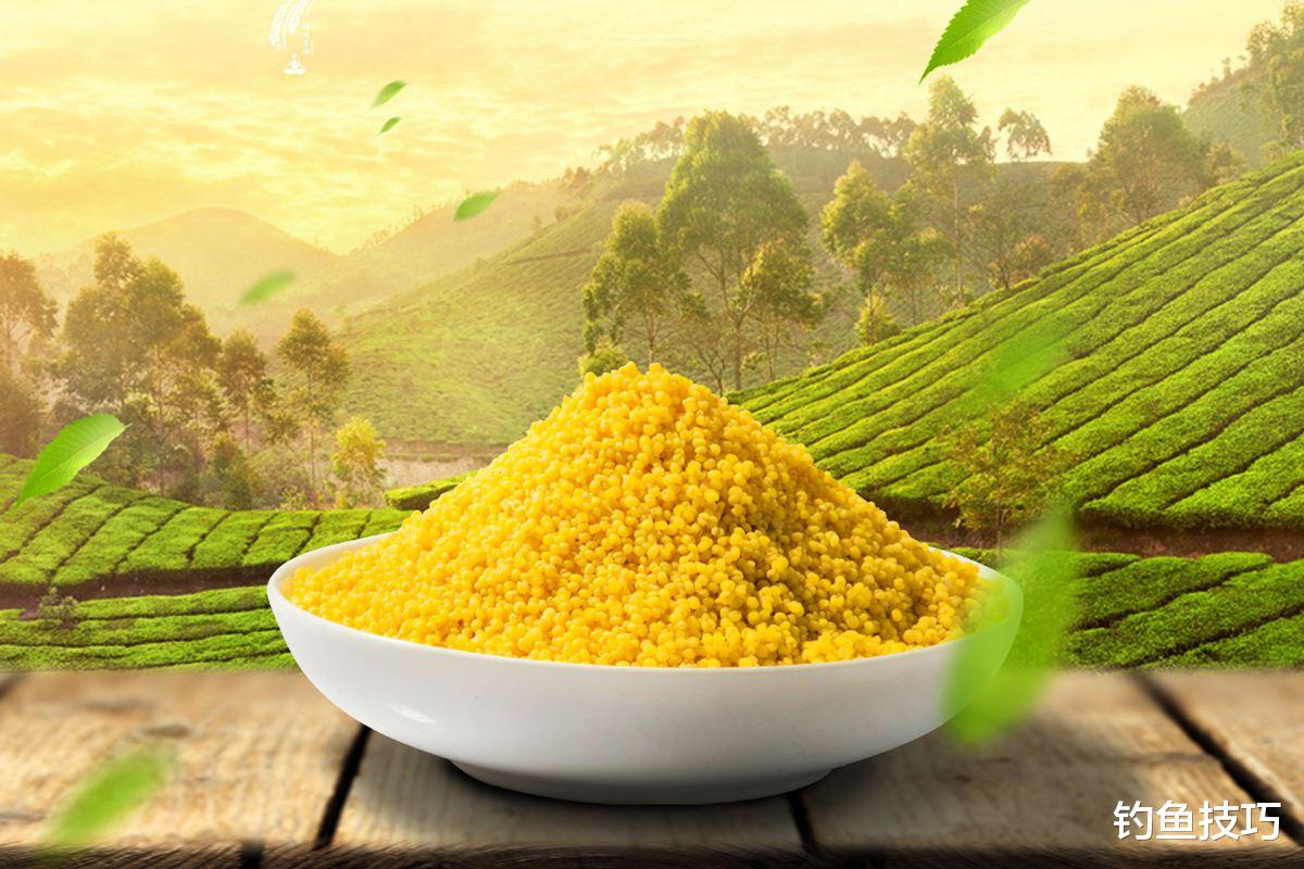 |钓鱼用什么酒米好?钓不同的鱼用不同的酒米,钓鱼酒米的制作技巧