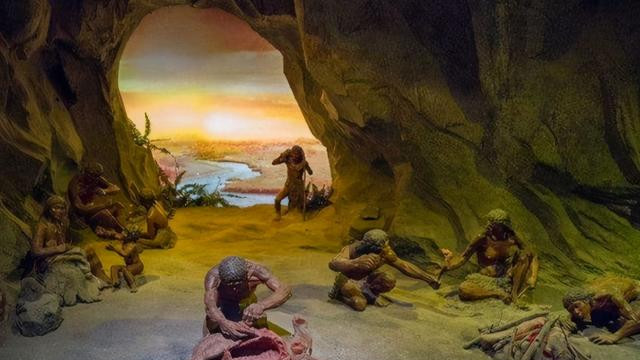 远古人类的石制手斧，70万年没有变化，他们是怎么打造的？