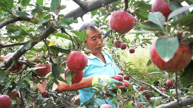 |唯一名字带甜的省份,不仅风景TOP1,还好吃得令人意外!