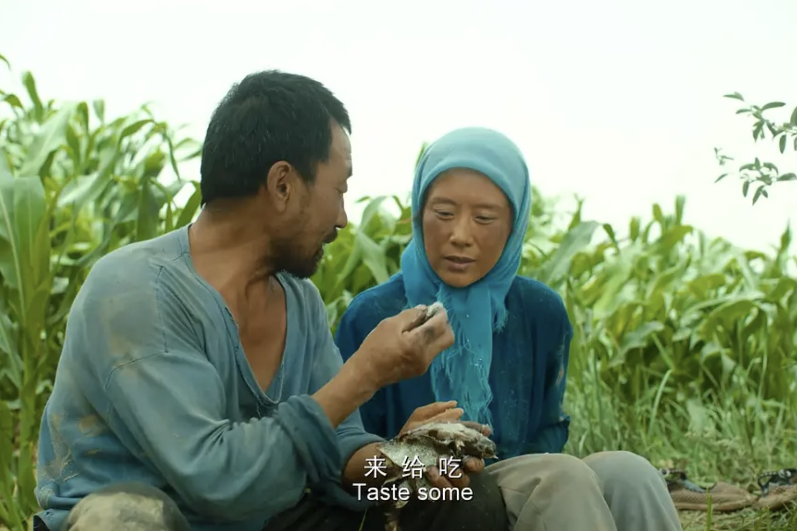 隐入尘烟|《隐入尘烟》上映62天，口碑票房双双逆跌