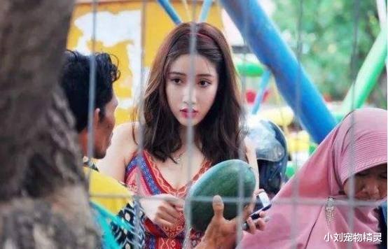 中国美女到印度旅行，看到公厕后迷茫了：直呼要回家
