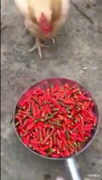 “为啥女生腿上喜欢绑黑带子，这有什么意思吗？”神评笑疯了