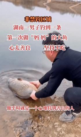 湖南|湖南钓鱼人放生几十斤“鲤鱼王”获赞，网友：心地善良还去钓鱼？