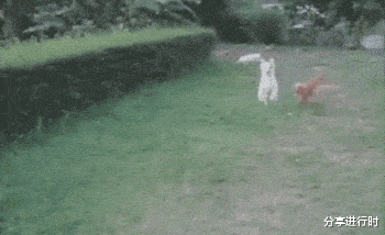 职业教育|“你现在的职业在古代叫什么？”评论区都是人才啊！