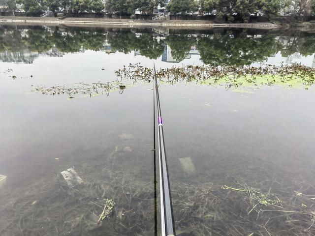 空军|火树银花闹元宵，大板鲫闻讯而来！