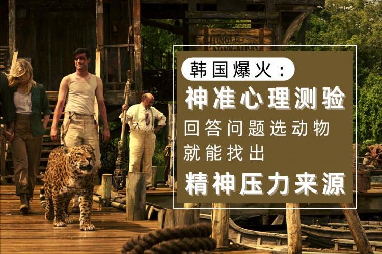 爆红心理测验!跟着题目选择动物,找出你近期的情绪压力来源