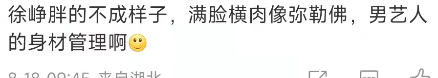 徐峥|徐峥与美女主持聚会,满脸横肉快认不出,一旁阿娇被异性揽入怀中