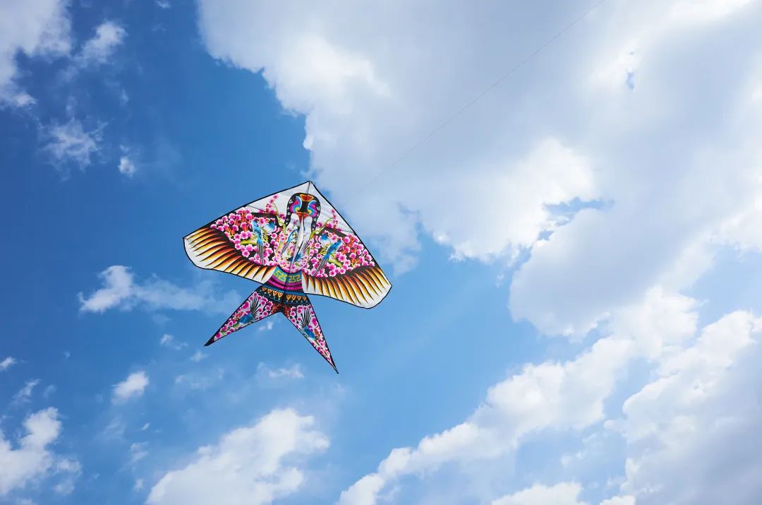 王菲|不是一路人，不必在一起！