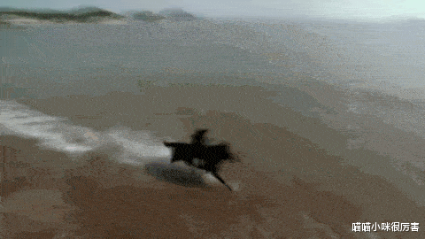 甄嬛传|该停止了,镜头背后演员的“作弊”,正在娱乐圈慢慢壮大,野蛮生长