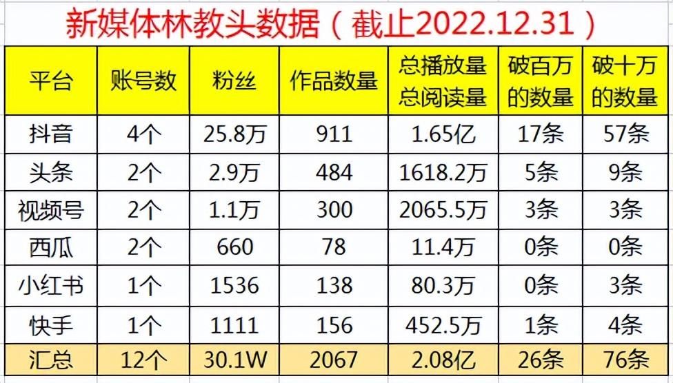 |做自媒体12个账号，我能养活自己了吗，2022年详细总结与规划