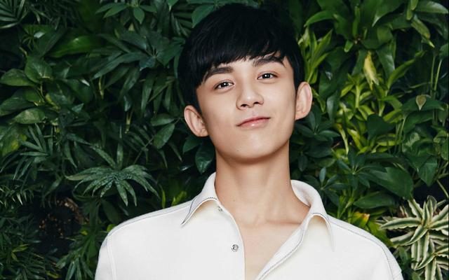 吴磊|吴磊向涵之公布恋情？一张模糊照片引来的吃瓜群众