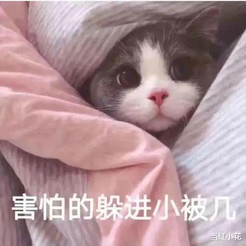 20岁女生上厕所被精神病虐打致毁容,结果只“轻伤二级”判3年?我不淡定了