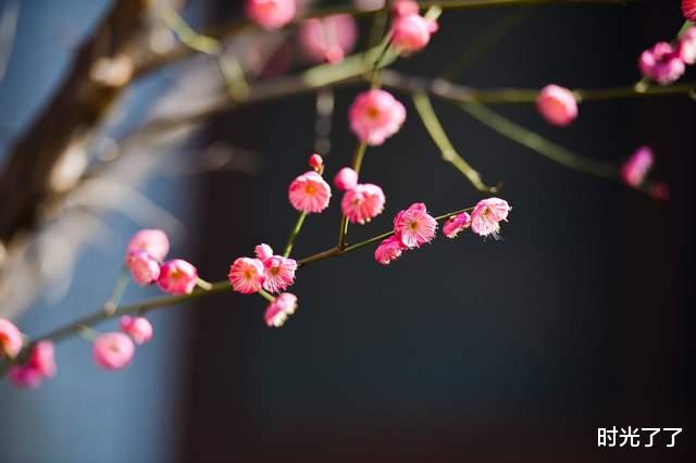 |职场上，一流的聪明人，往往看起来很“傻”