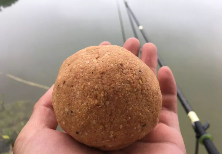 饵料|立春后钓鱼，钓“深”还是钓“浅”？做对了，想不爆护都难