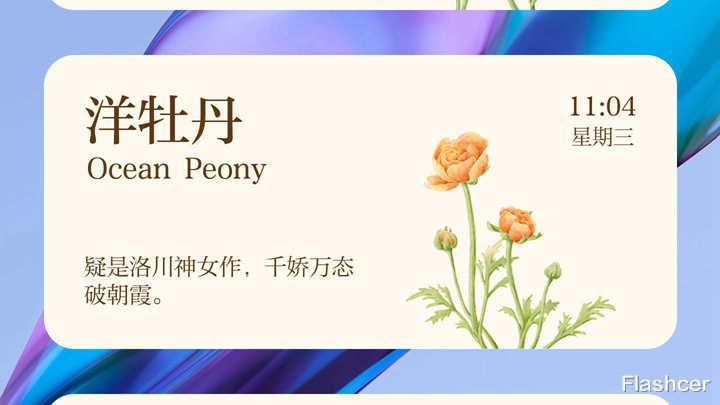 MIUI|MIUI13小部件新增【花期】,5款样式可切换,你喜欢哪种?