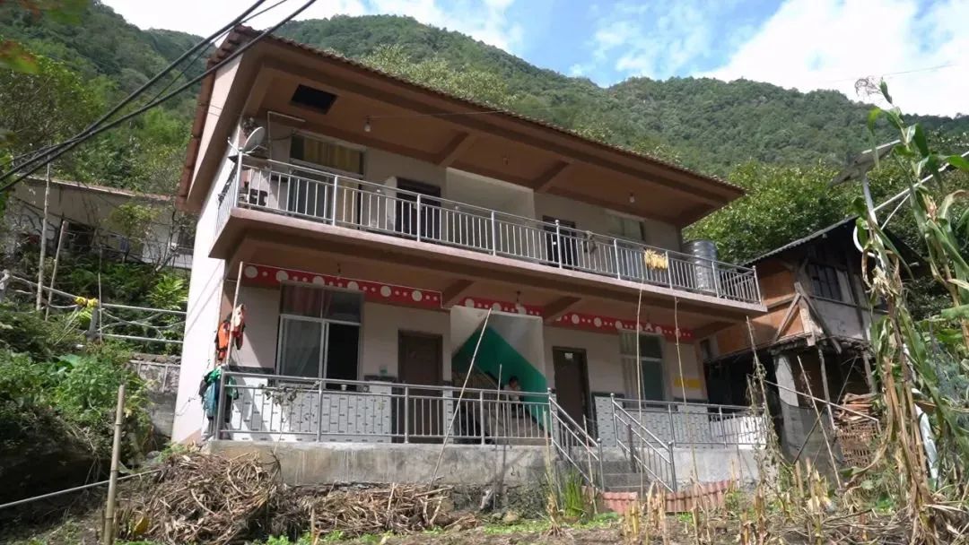 燕子过怒江