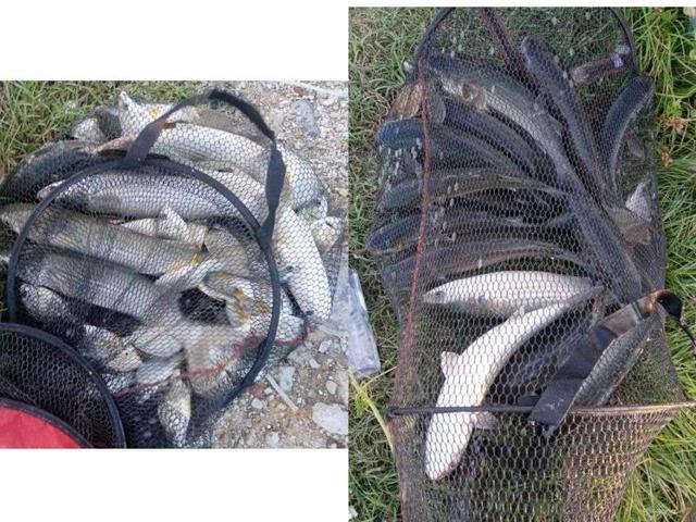 |【作钓报告】2022钓鱼之路已走完,2023开拓新的天地解锁新鱼种