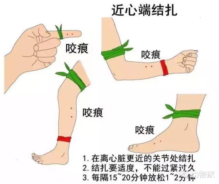 古代武侠小说里以毒攻毒是真的吗?看看现代如何把“剧毒变良药”