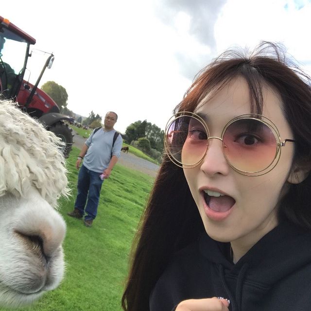 装嫩界代表孙艺珍减龄穿搭靠老爹鞋，40岁吴佩慈重开私服日记装