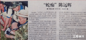 “三角头”不一定有毒,但这些“三角头”一定有毒——原矛头蝮属