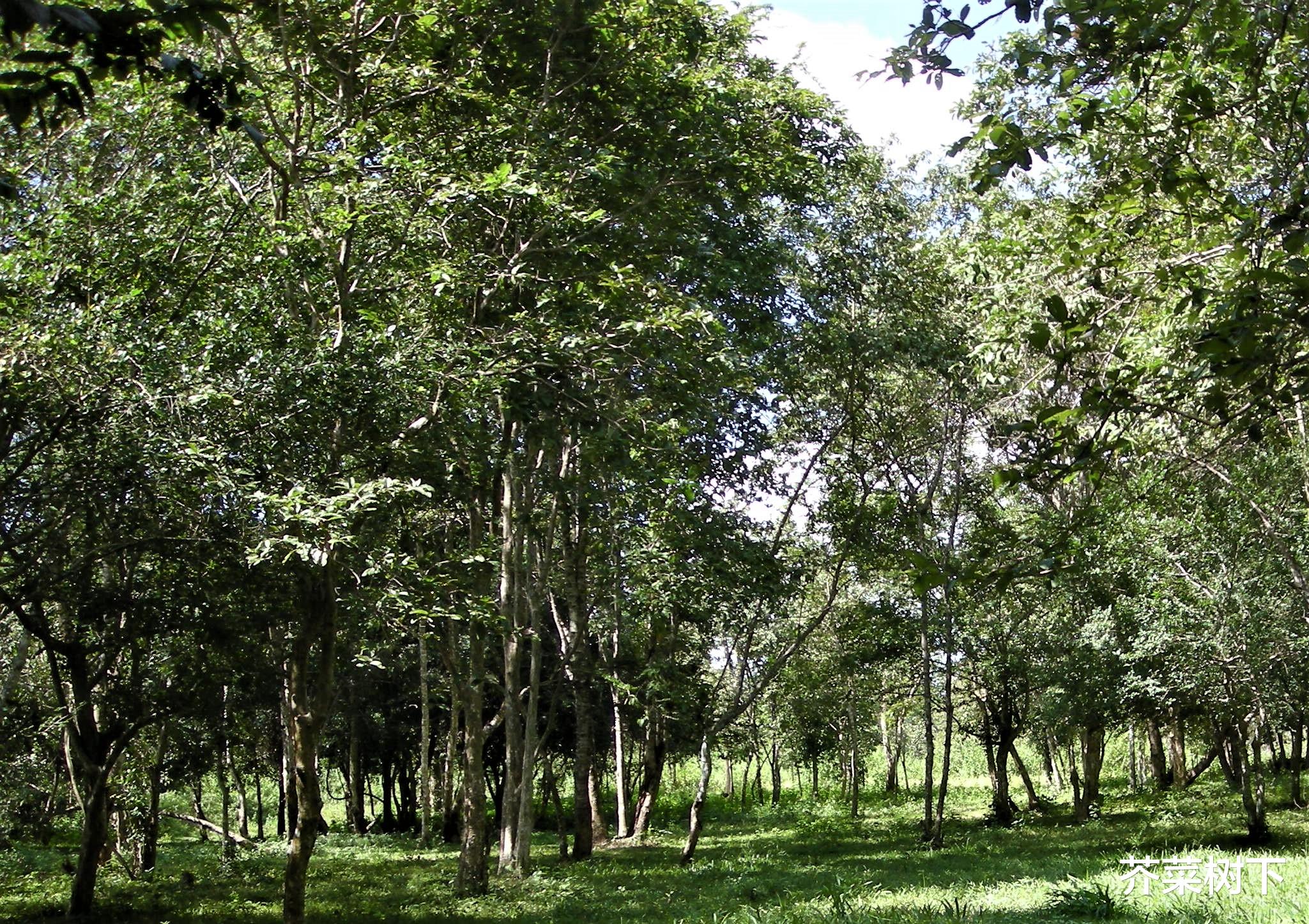 反向背调|职场迂回战术，带着分寸