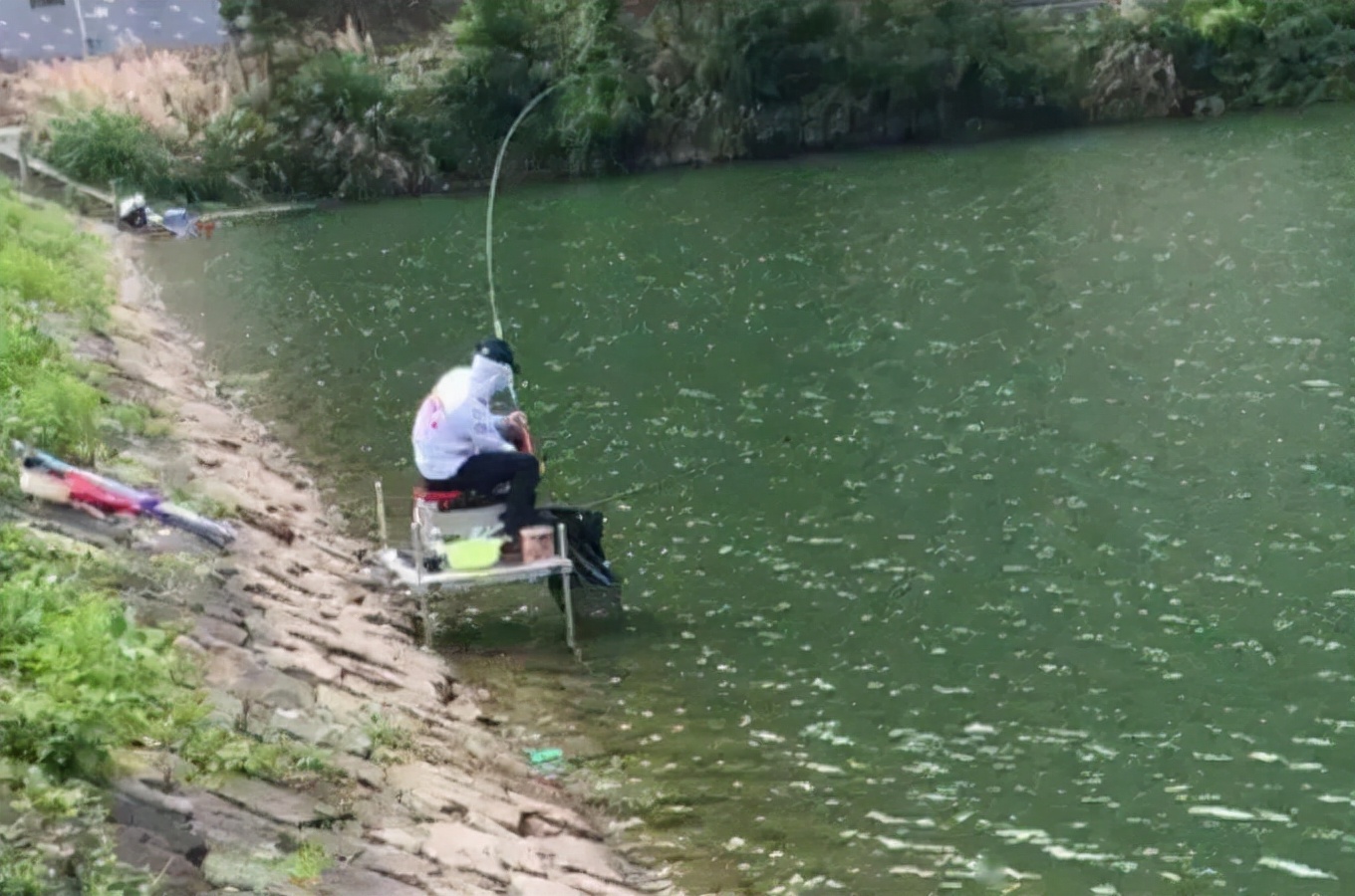 钓鱼|仲春降雨就等于爆护，选择这三种出钓时机，鱼护太小不够用