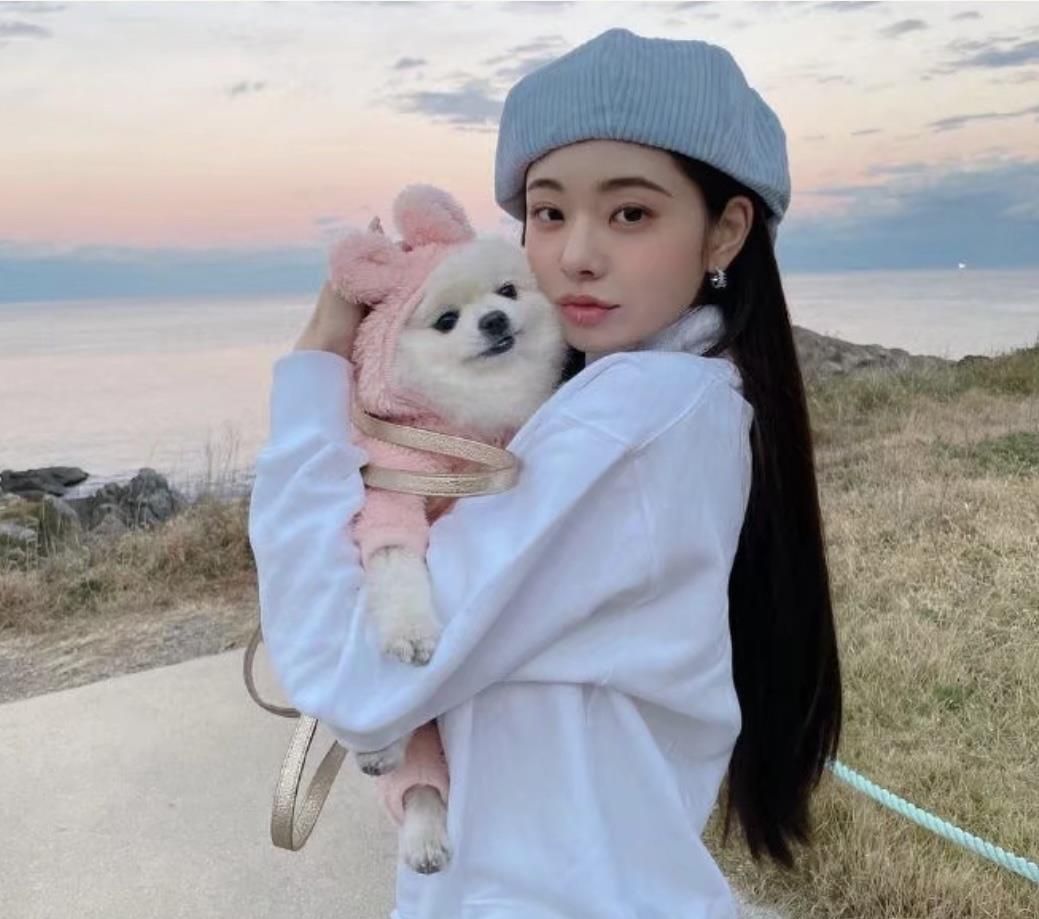 宋智雅|同样是穿假货,为什么宋智雅闹这么大,鞠婧祎和洪成成却没啥声响