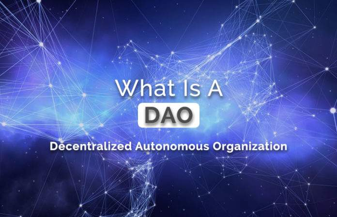 |巨鲸数字-DAO-web3.0引发新的组织形式——DAO