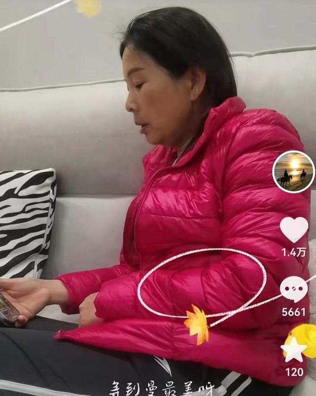 亮出威静结婚证,不要背后捅刀子,网友喊话田母,田父:终点见!