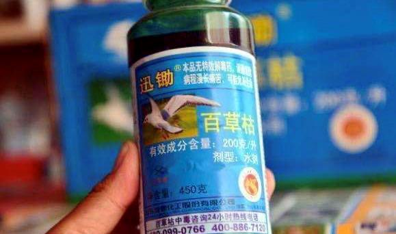 “绝命毒药”百草枯其实早有解药,2012年发现因3个原因无人生产