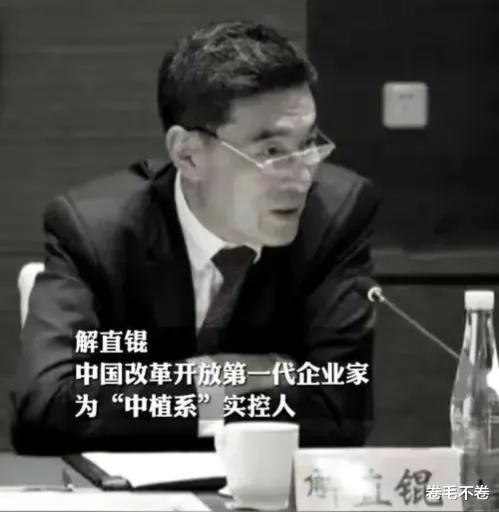 毛阿敏|毛阿敏之女解佳桐:父亲260亿的遗产,也给不了母亲后半生的幸福