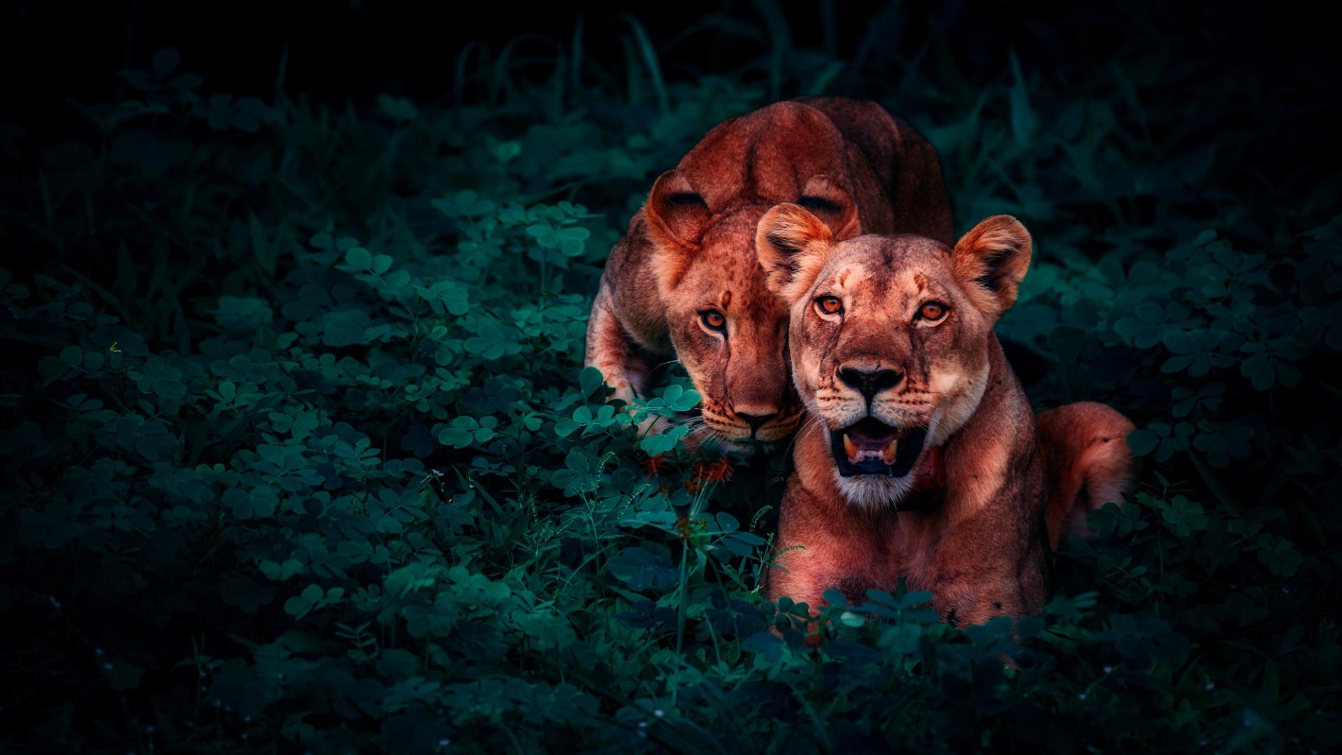 少年派第二季|边缘化不可怕，真正可怕的是自己的心态也边缘化！！！