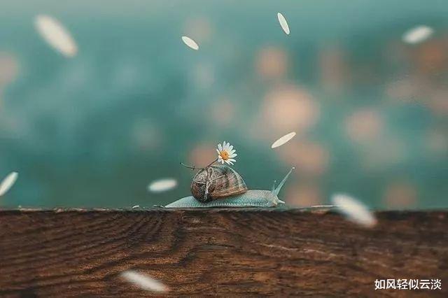 |人在职场，别有这几种“犯傻”行为